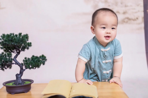 东营可爱的企鹅宝宝